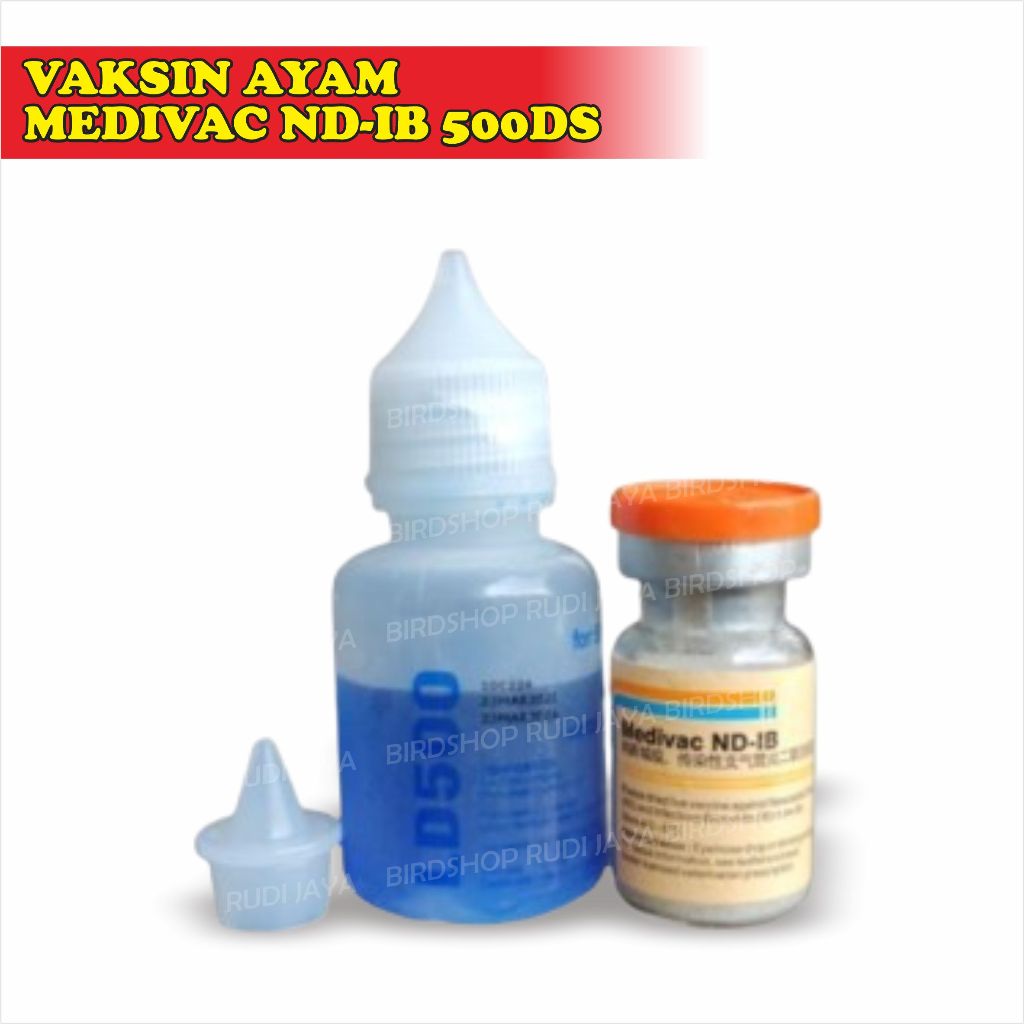 VAKSIN AYAM MEDIVAC ND-IB 500DS VAKSIN PERTAMA OBATI AYAM SAKIT MENCEGAH PENYAKIT TETELO ND DAN IB