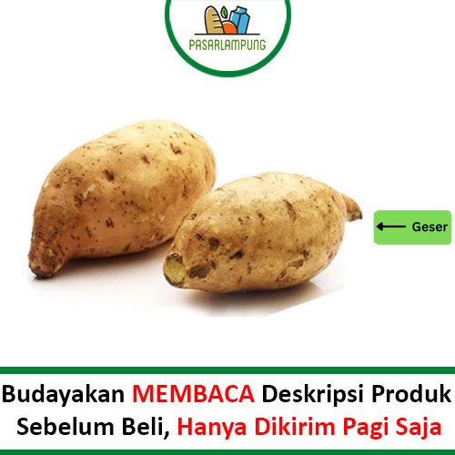 

Ubi Mantang Madu 900-1000 Gram Pasar Lampung