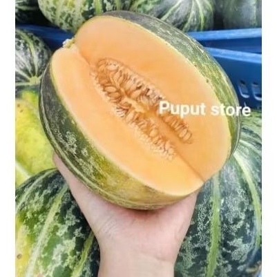 

BUAH BLEWAH SUPER PER BUAH