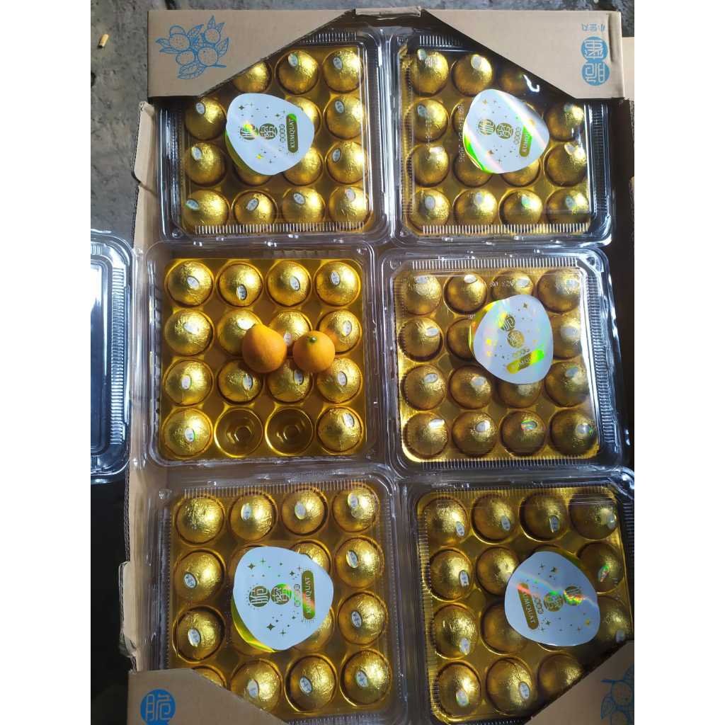 

JERUK KIMKIT FERERO 450GR