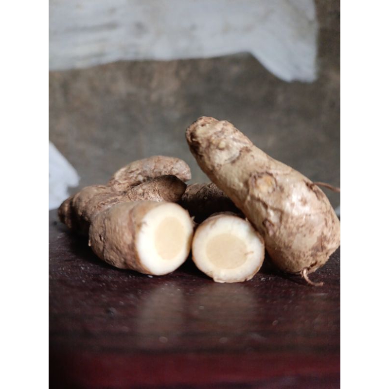 

Temu Putih isi 1kg