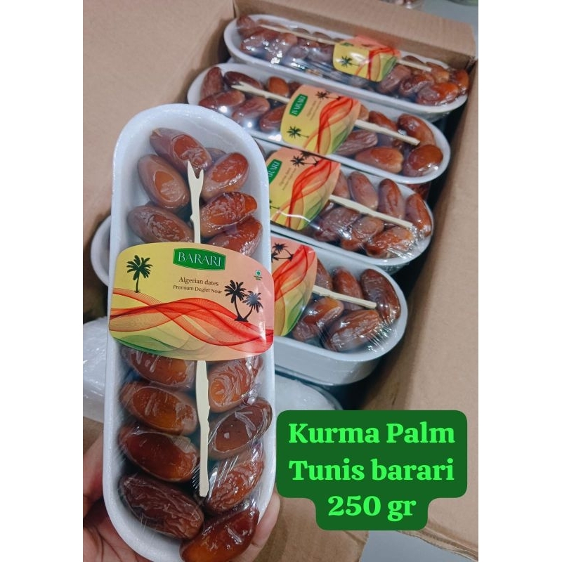 

Kuma Palm Tunis Barari