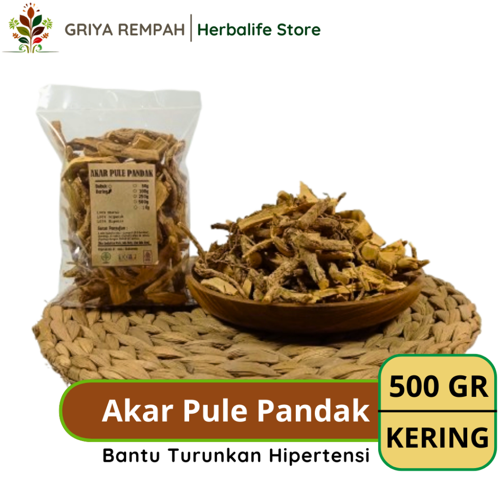 

AKAR PULE PANDAK KERING 500 GRAM Rempah Herbal Simplisia Alami untuk Kesehatan & Ramuan Kering Jamu Tradisional Akar tikus ular Rauvolfia serpentina