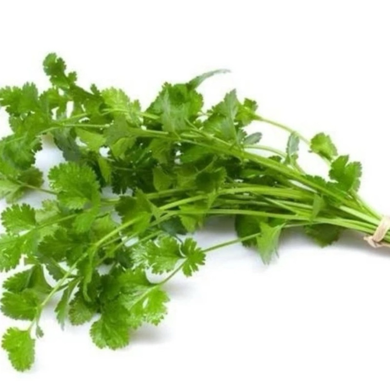 

Daun Ketumbar / Coriander - 500gram