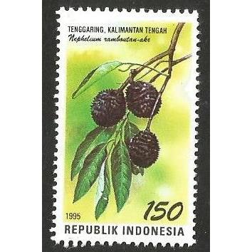 

A 10688 SATU BUAH PRANGKO INDONESIA TEMA TANAMAN BUAH TENGGARING PROVINSI KALIMANTAN TENGAH KONDISI MNH MINT NEVER HINGED