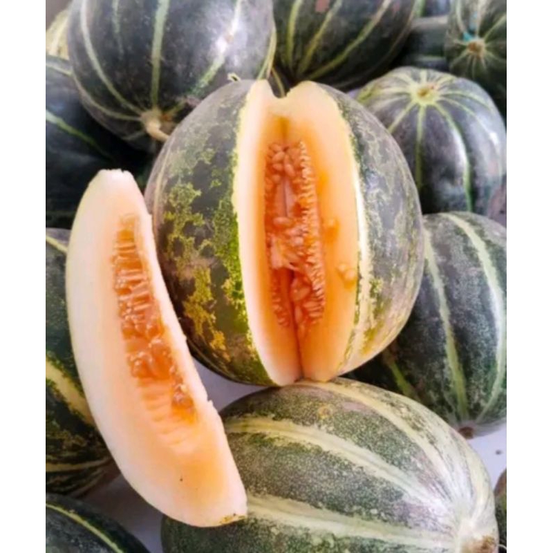 

blewah madu manis segar perbuah