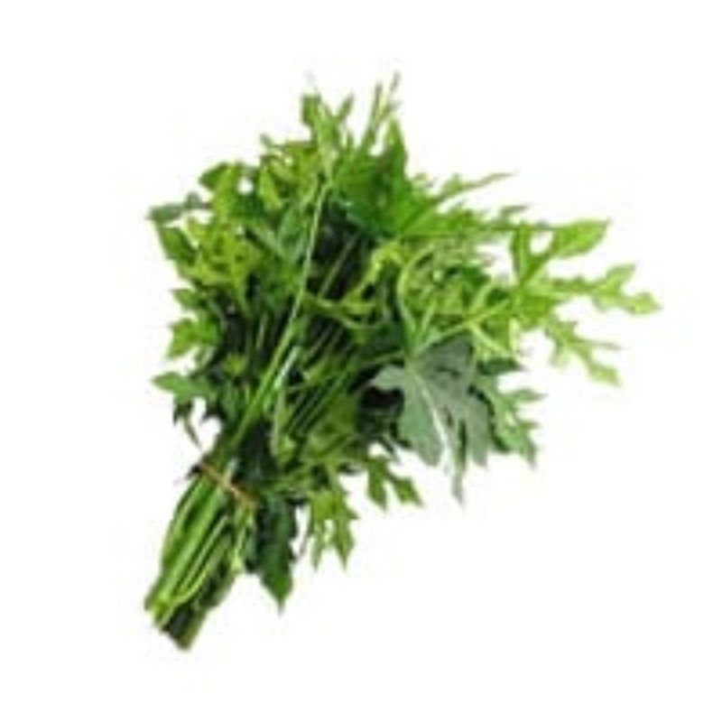 

daun pepaya/pucuk pepaya segarr press 250gr