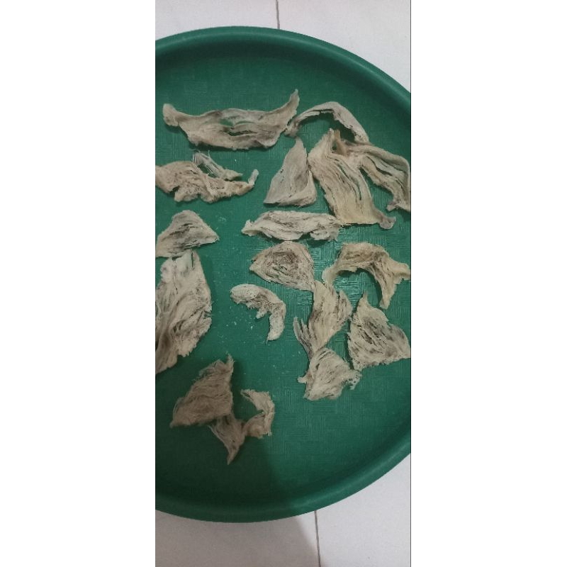 

sarang walet asli harga /gram