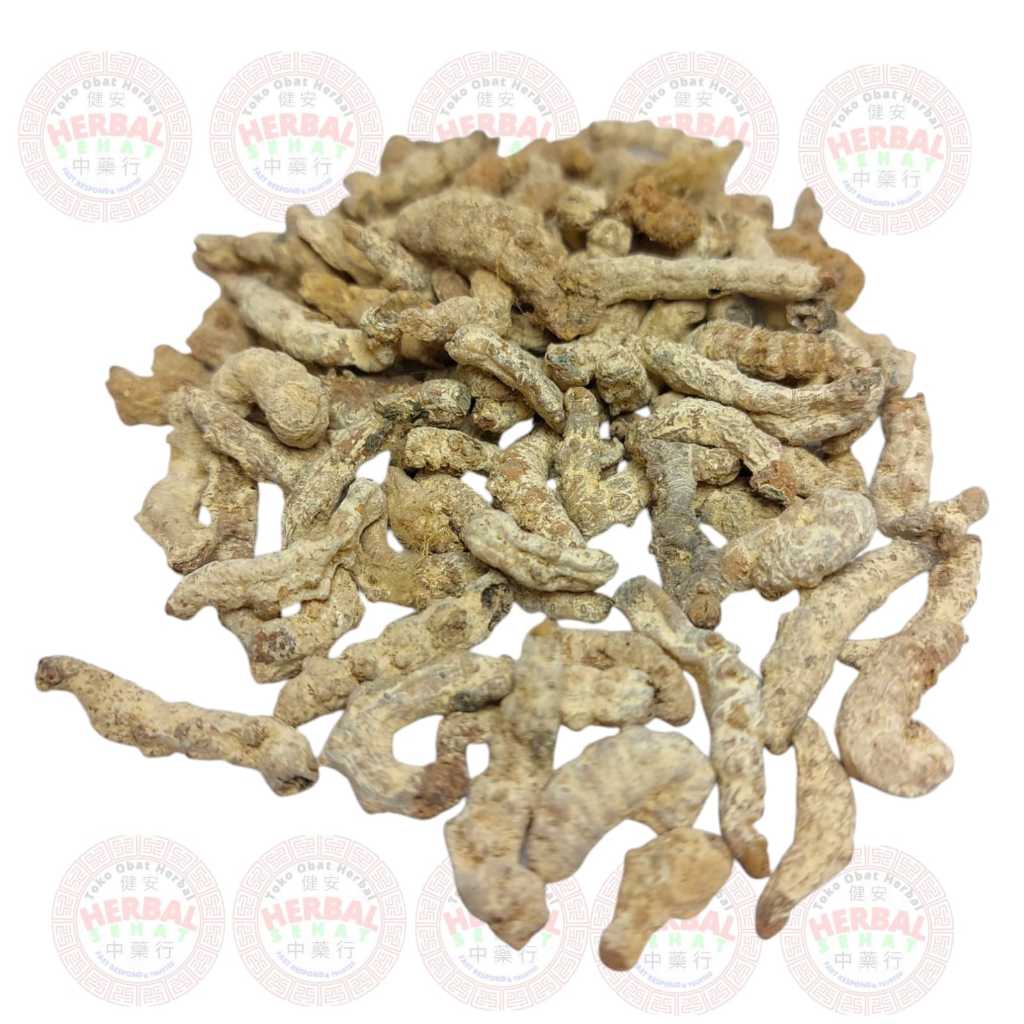 

Ulat Sutra Kering / Bai Jiang Can / Jiang Chong / Body of Sick Silkworm Bombyx Batryticatus