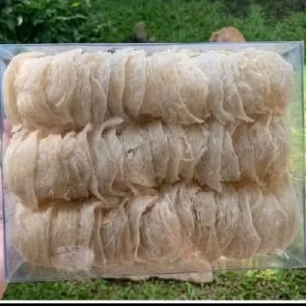 

sarang burung walet kw 1