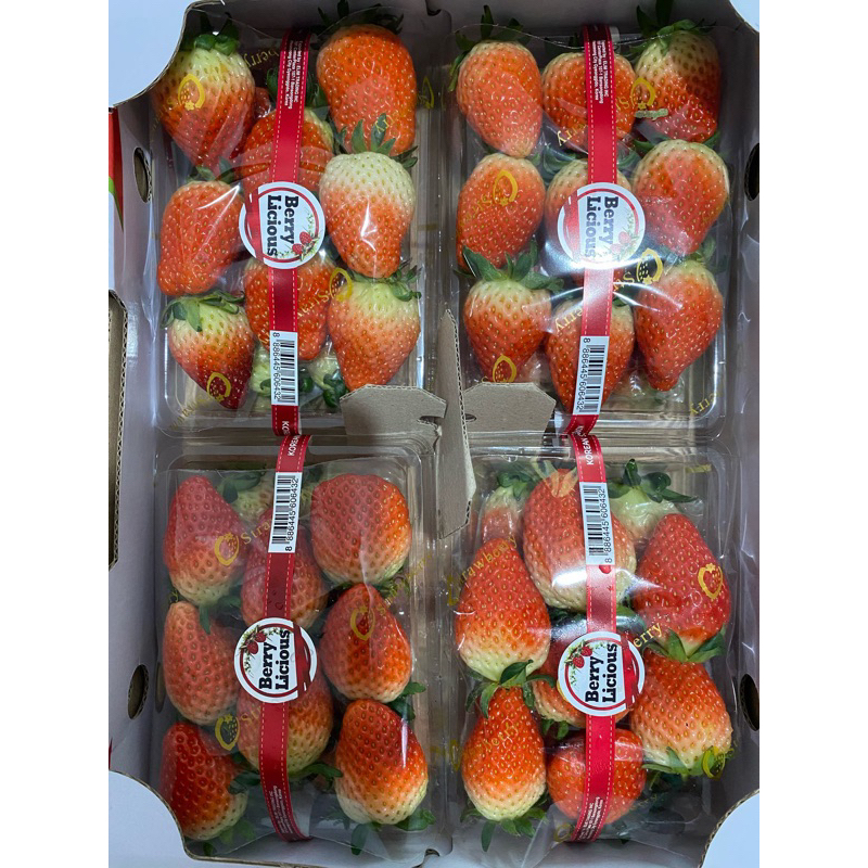 

stoberi korea manis asem harga 1 pack PROMO