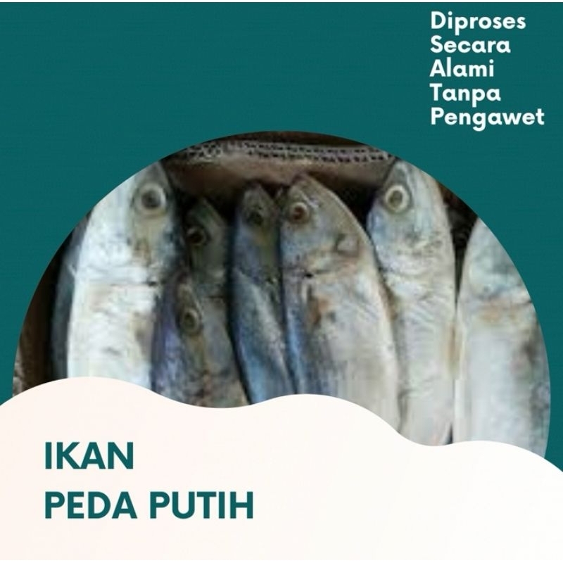 

IKAN PEDA SUPER | IKAN ASIN