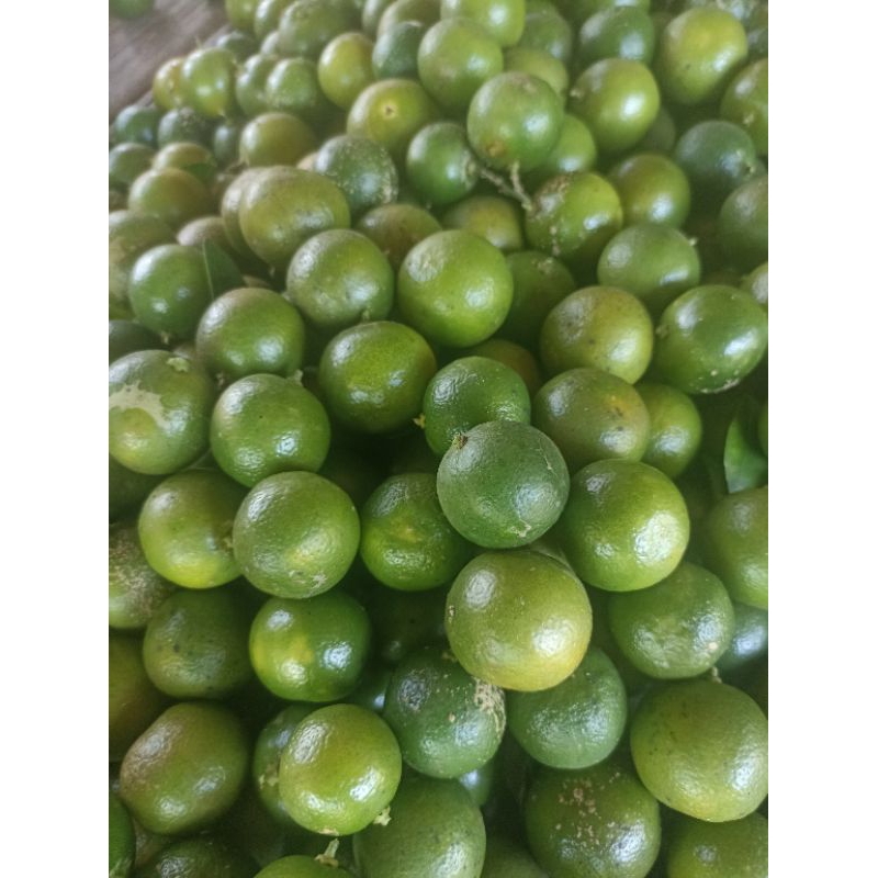 

5kg jeruk sunkit / jeruk kasturi / jeruk kunci