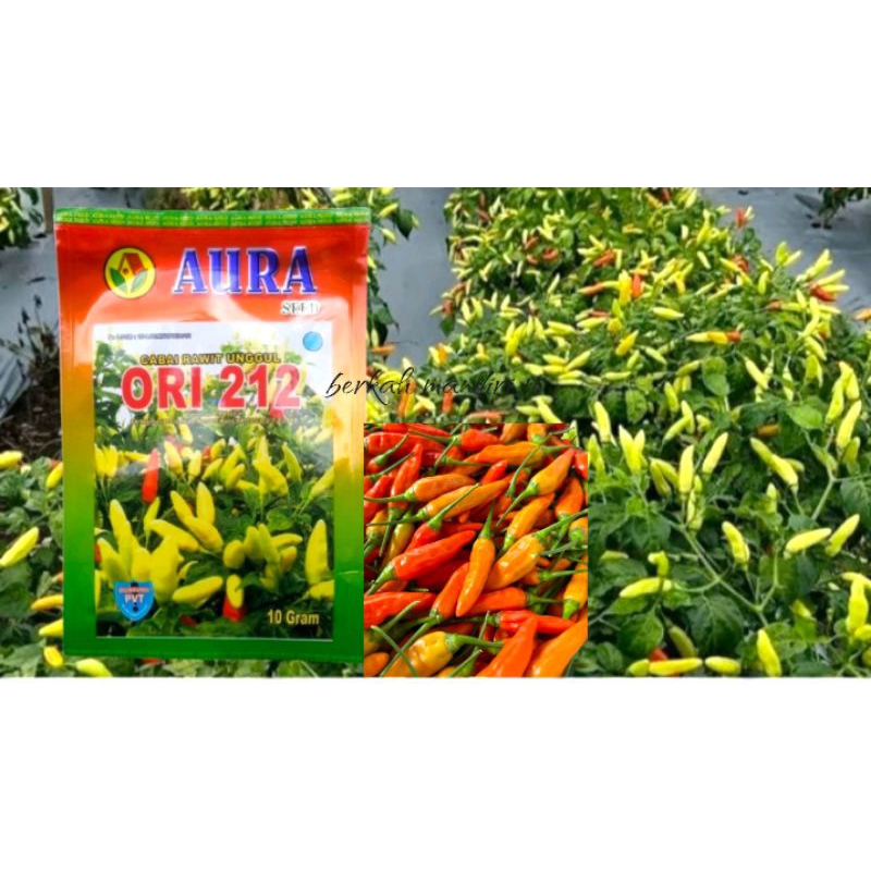 Benih Bibit Cabe Unggul Ori 212 10Gram