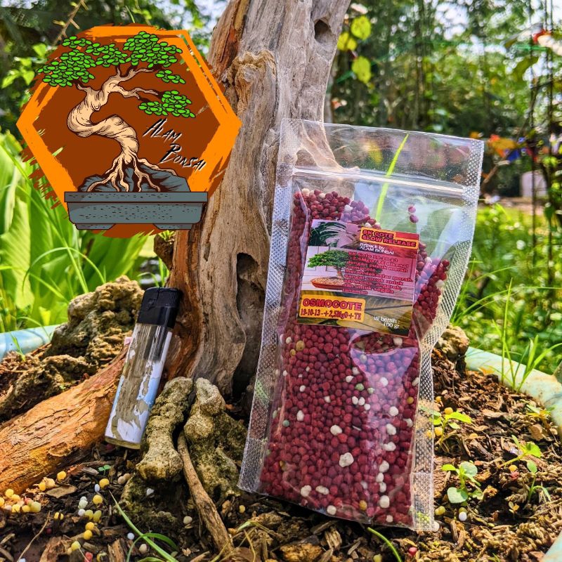 Pupuk Osmocote Decastar Slow Release Pupuk Tanaman Hias Aglonema Anggrek Bonsai dll