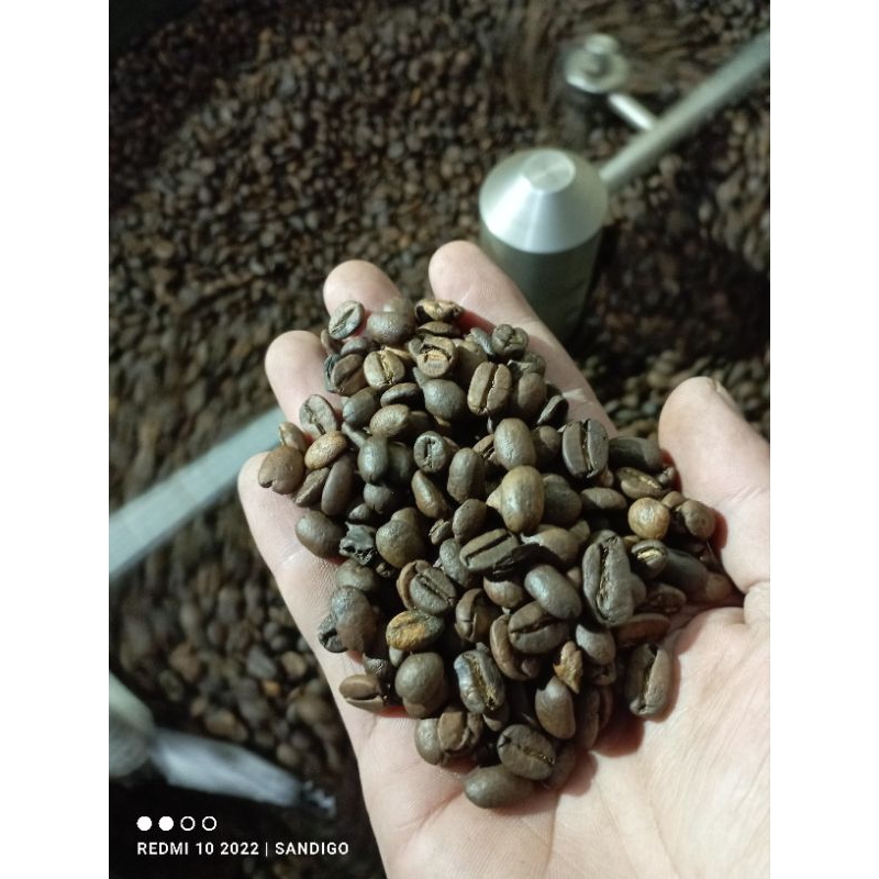 

BIJI KOPI ARABIKA DAN ROBUSTA 1KG