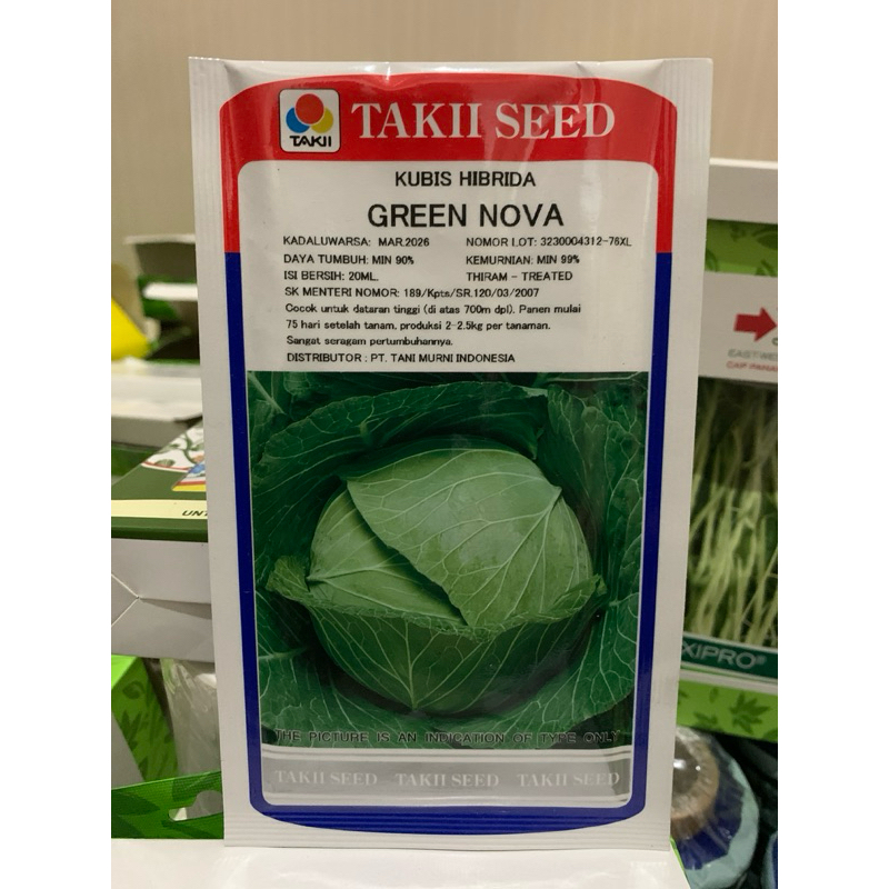 BIBIT/BENIH KUBIS HIBRIDA GREEN NOVA  20gram