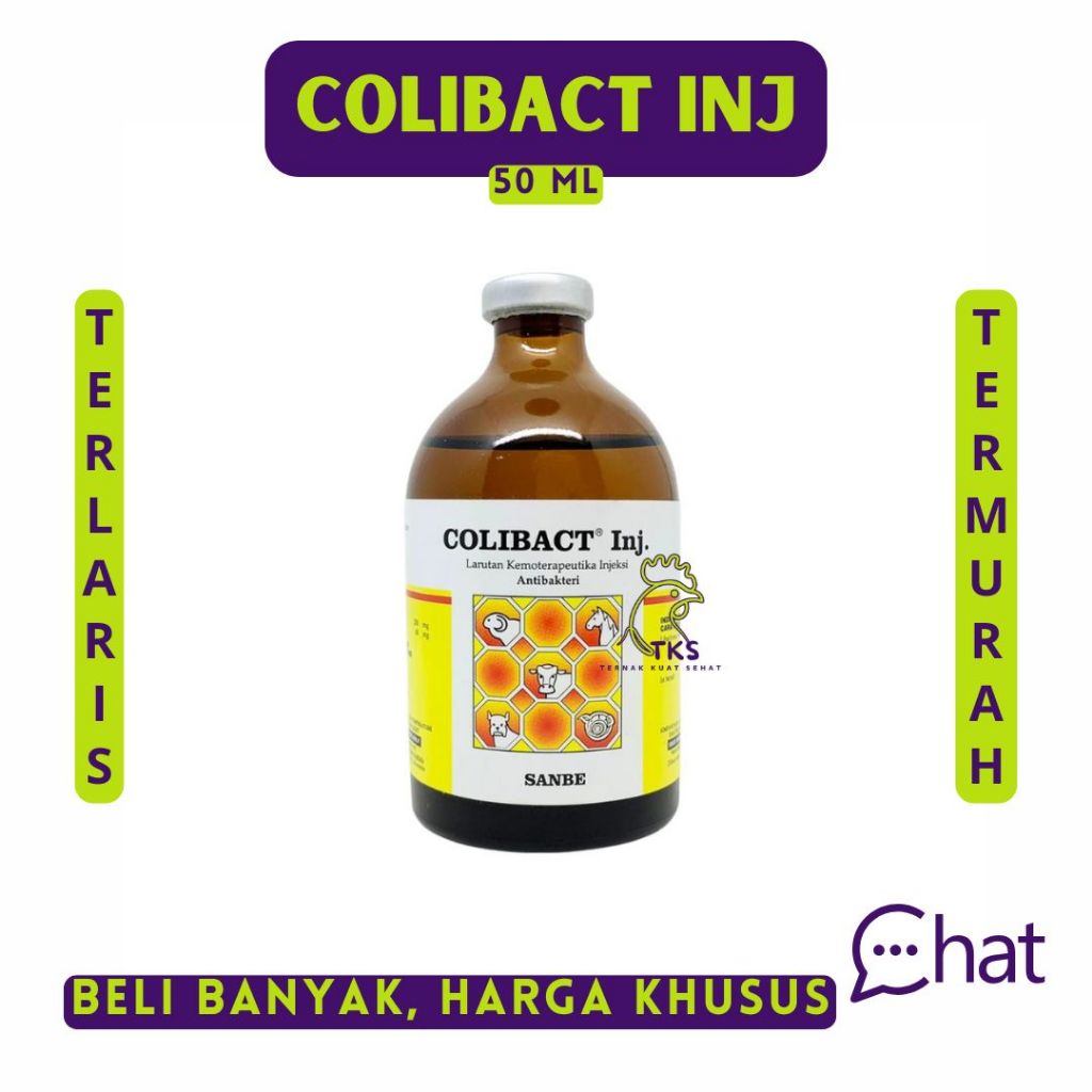 COLIBACT INJEKSI 50ML - Obat Mencret Sapi - Obat Diare Sapi Kambing Domba - Obat Antibiotik Hewan