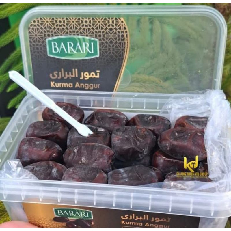 

kurma BAM barari