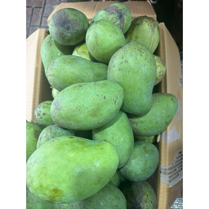 

Mangga Harum Manis Fresh 1kg