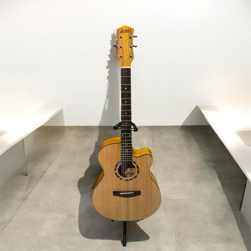 Gitar Dluxe DF100 Transkustik
