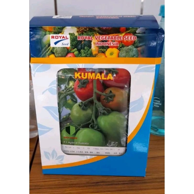 benih tomat kumala f1 10 gram - royal seed