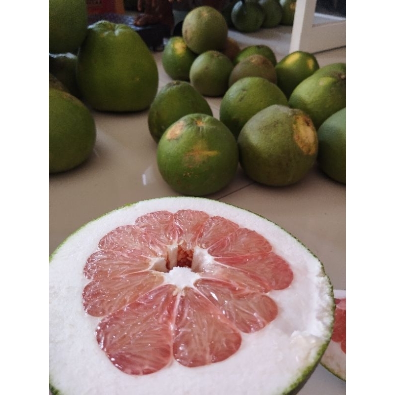 

jeruk pamelo 1kg fress baru petik