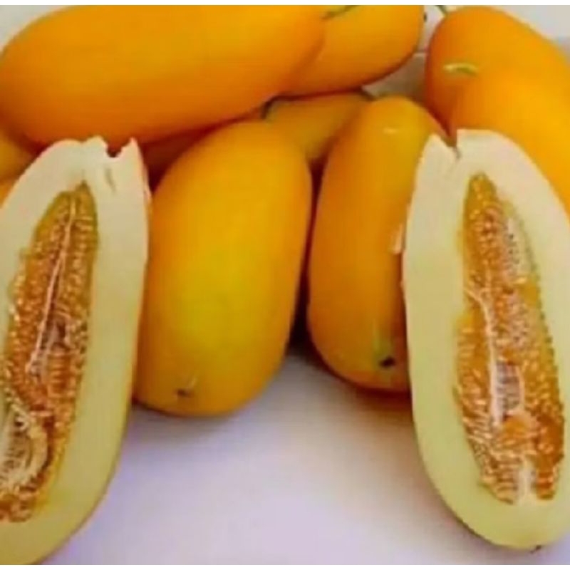 

INSTAN TERMURAH Timun suri 1 buah