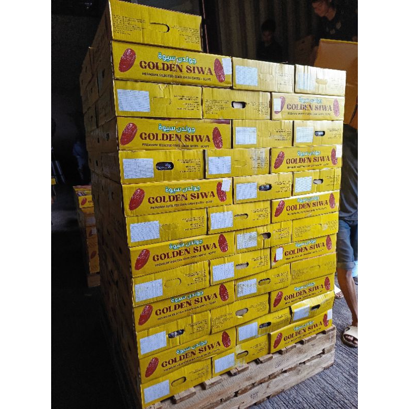 

Kurma Golden Siwa Mesir