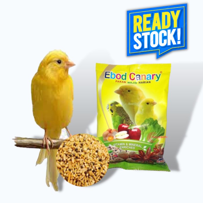 Ebod Canary sachet, Ebod kenari saset, pakan kenari