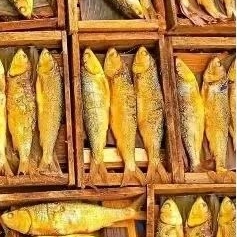 

Frozen Bandeng Presto (Bumbu Kuning) MURAH