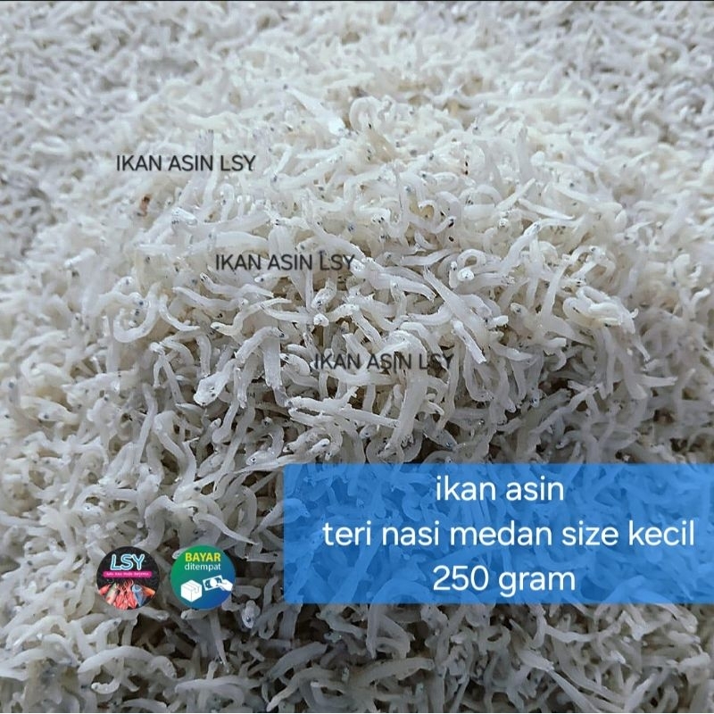 

ikan asin teri nasi medan size kecil 250 gram