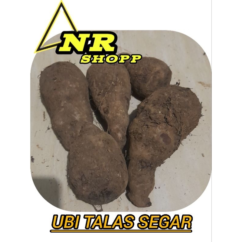 

Talas Pulen Umbi Talas 1Kg Segar