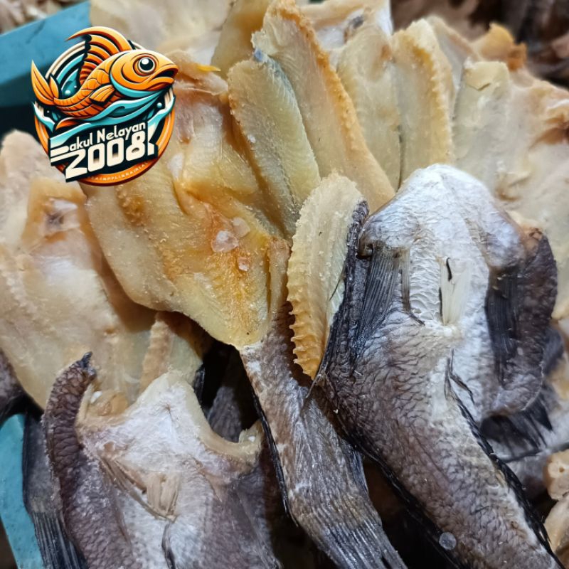 

Ikan gabus kecil | Ukuran kecil