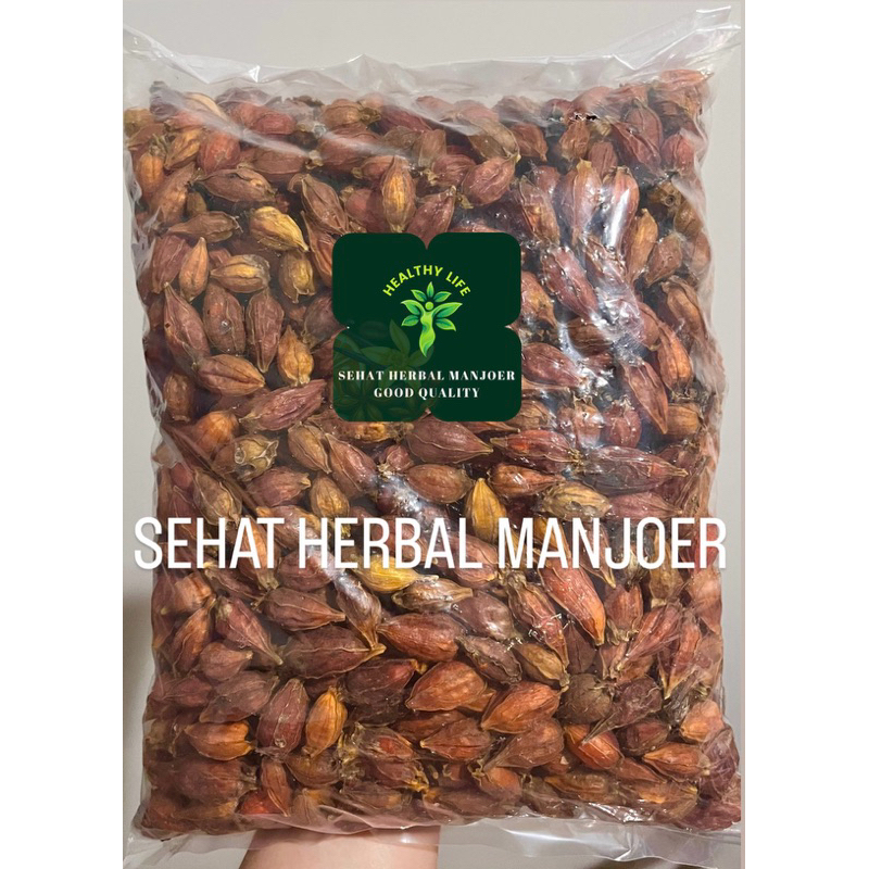 

Shan Zhi Zi / Zhi Zi / Gardenia - [ 山枝子 ] - Fructus Gardeniae Jasminoidis 100gr - 250gr