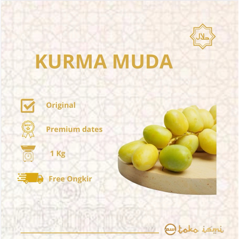 

READY KURMA MUDA UNTUK PROGRAM HAMIL KURMA MUDA BARHEE IKHTIAR PROMIL