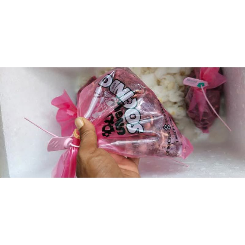 (kecambah sawit Socfindo)