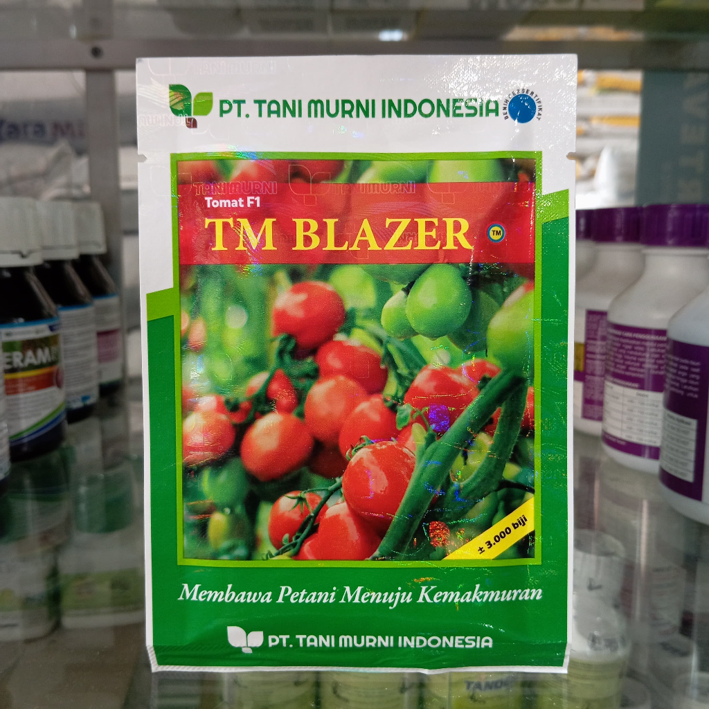 Benih Tomat Besar TM BLAZER F1 3000 Biji