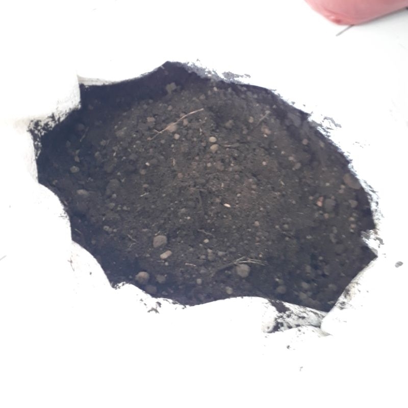 Media Tanam Tanah Hitam untuk Menanam