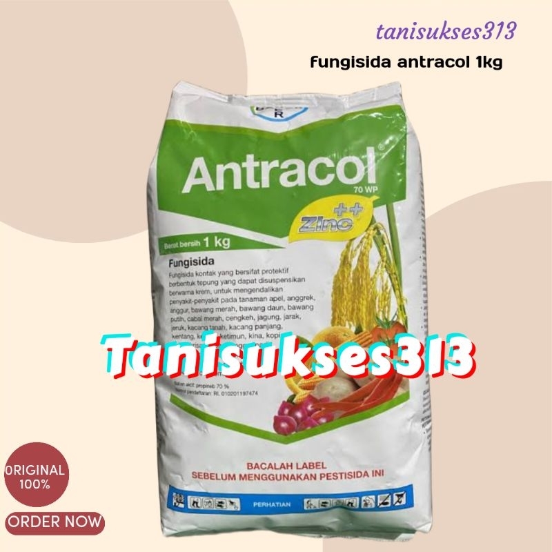 Fungisida antracol 1kg original