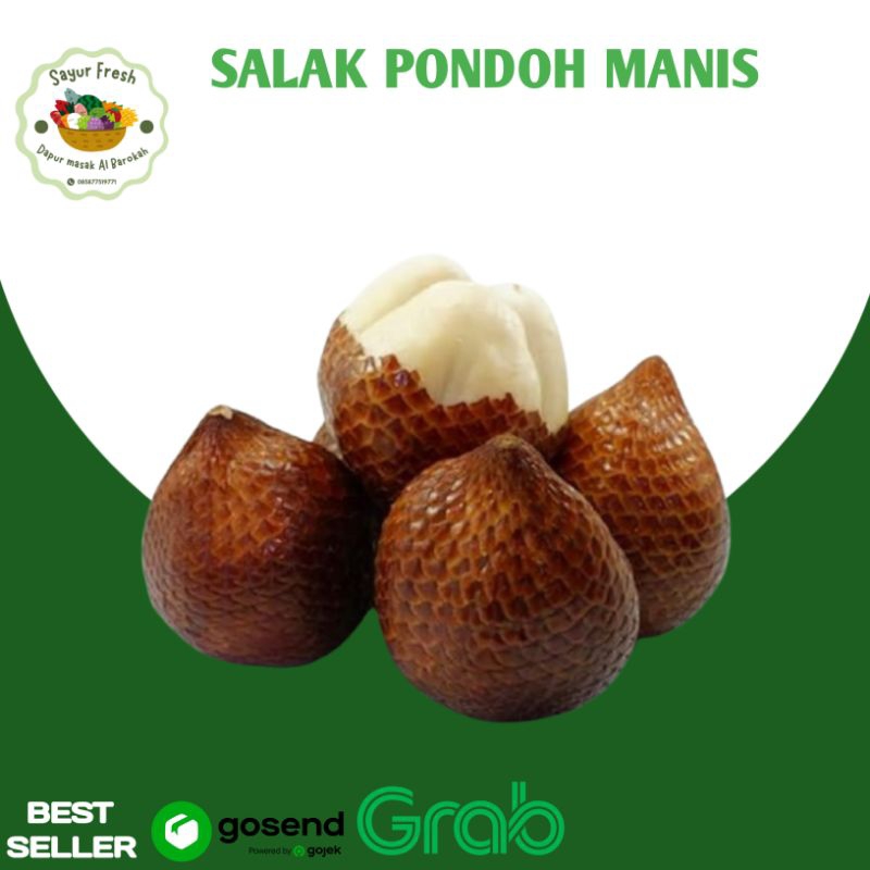

SALAK PONDOH MANIS