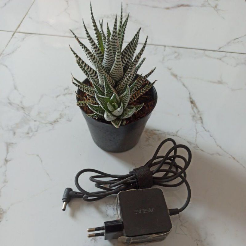 ADAPTOR CHARGER CAS LAPTOP ASUS 19V 2,37A LUBANG KECIL Original Copotan