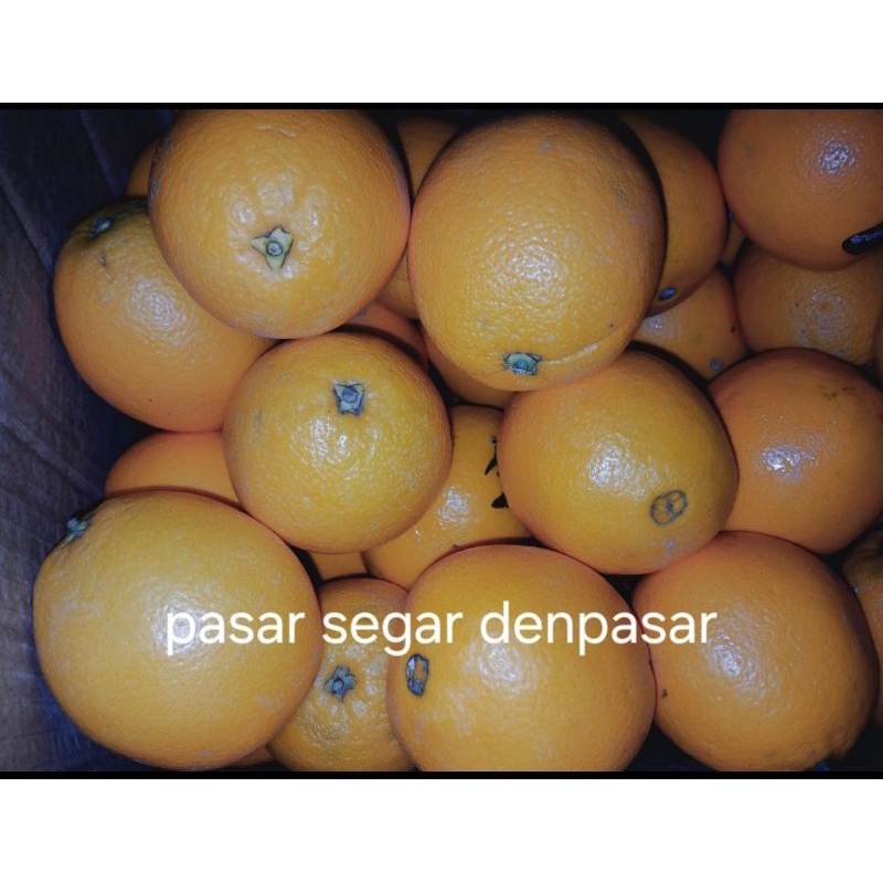 

sunkist navel /kg