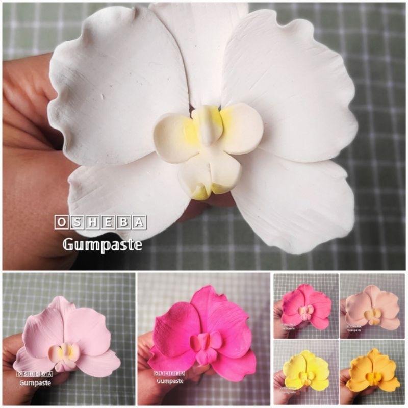 

[osheba] gumpaste bunga bs anggrek bulan moth 11