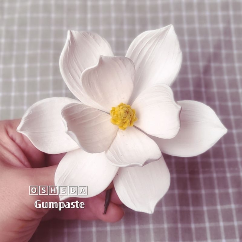 

[osheba] gumpaste bunga bs magnolia MG 10