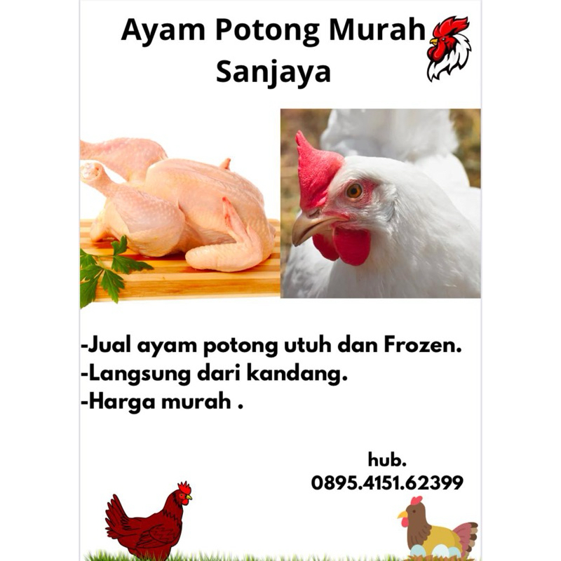 

ayam potong