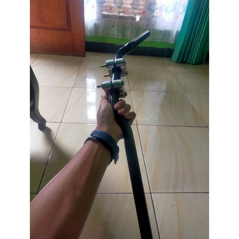 stang rzr + raiser vino