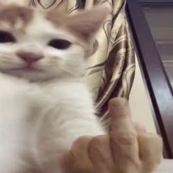 

sticker. pembuatan sticker wa& sticker asli