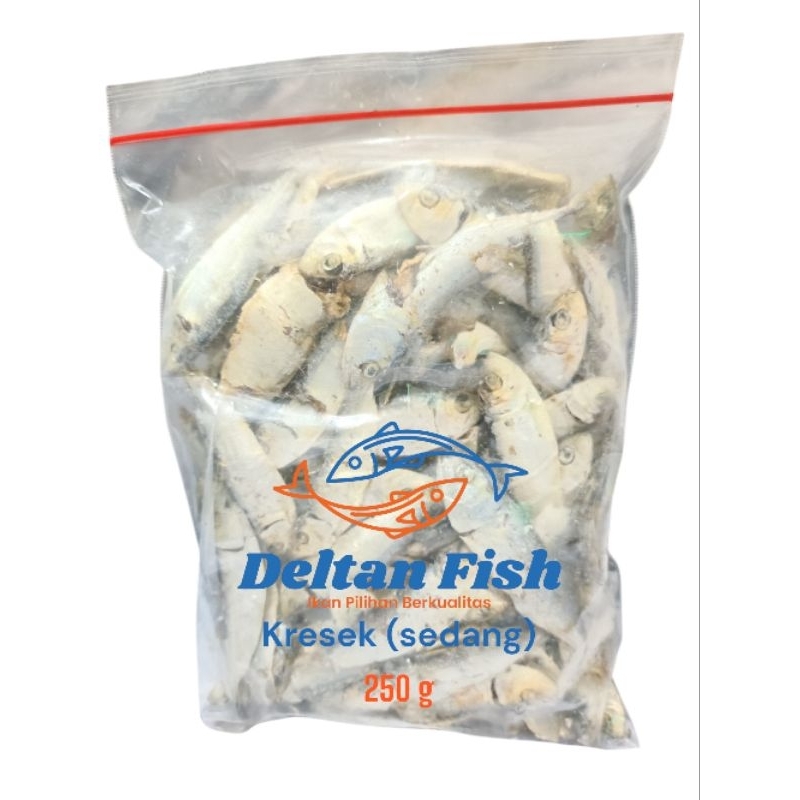

Ikan kresek ( sedang )