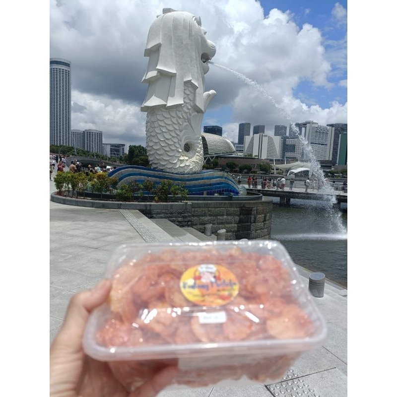 

Mustofa N'Rha Spesial Haji Kurdi